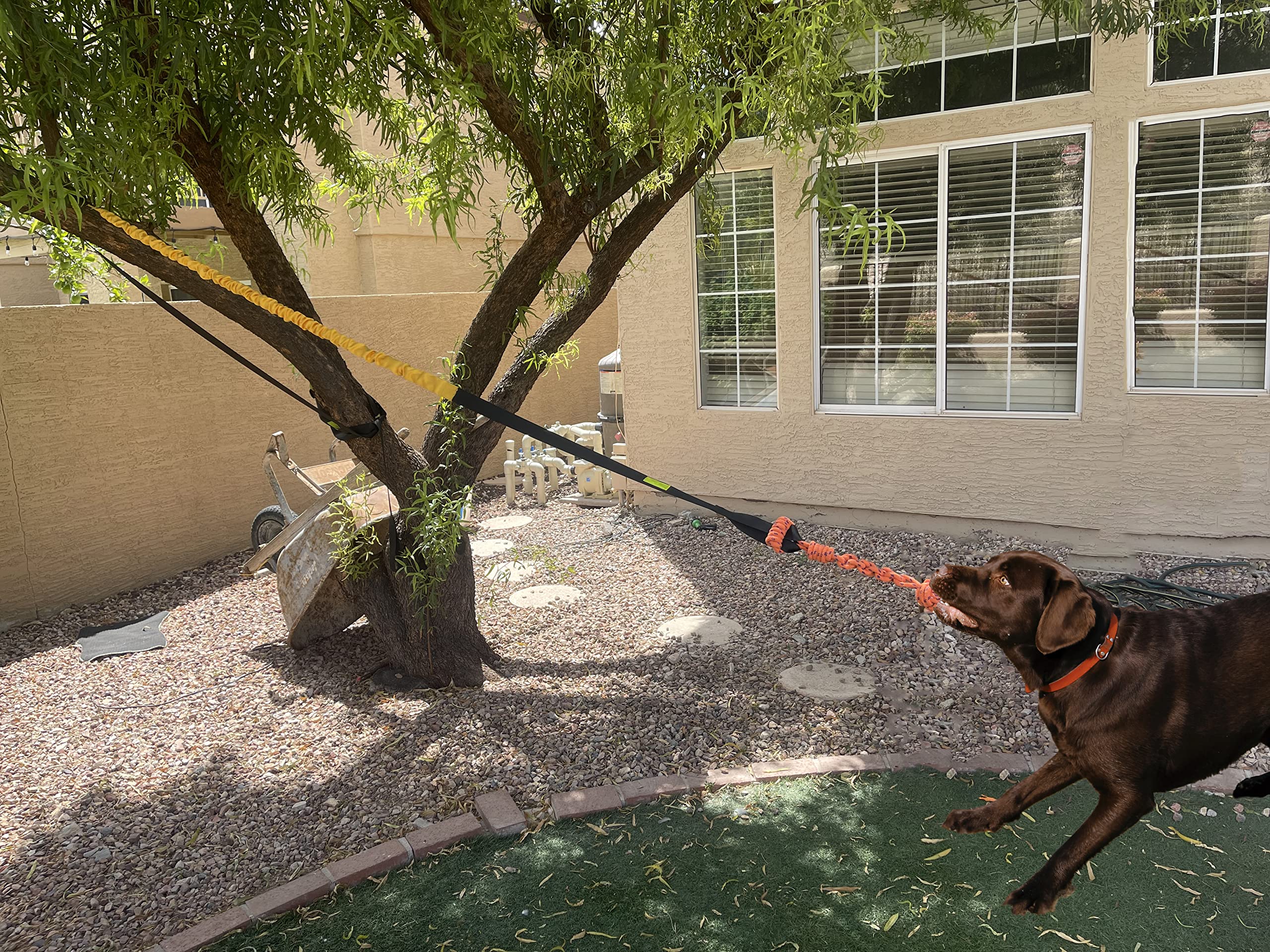 Jalousie Dog Bungee Toy buckle detail highlights sturdy, durable hardware.