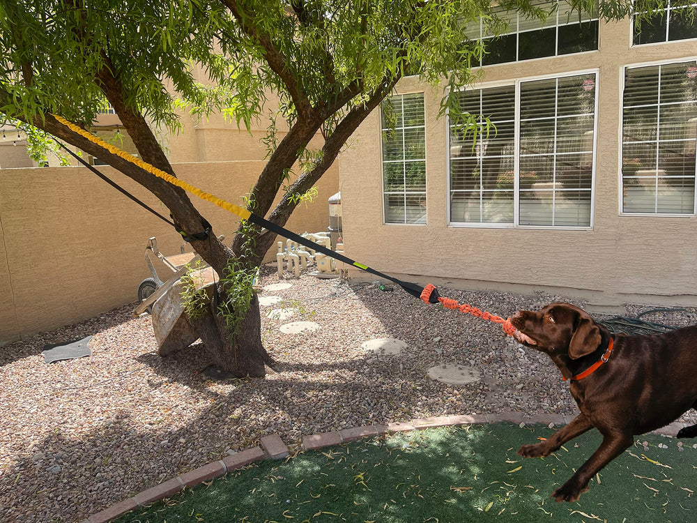 Jalousie Dog Bungee Toy buckle detail highlights sturdy, durable hardware.