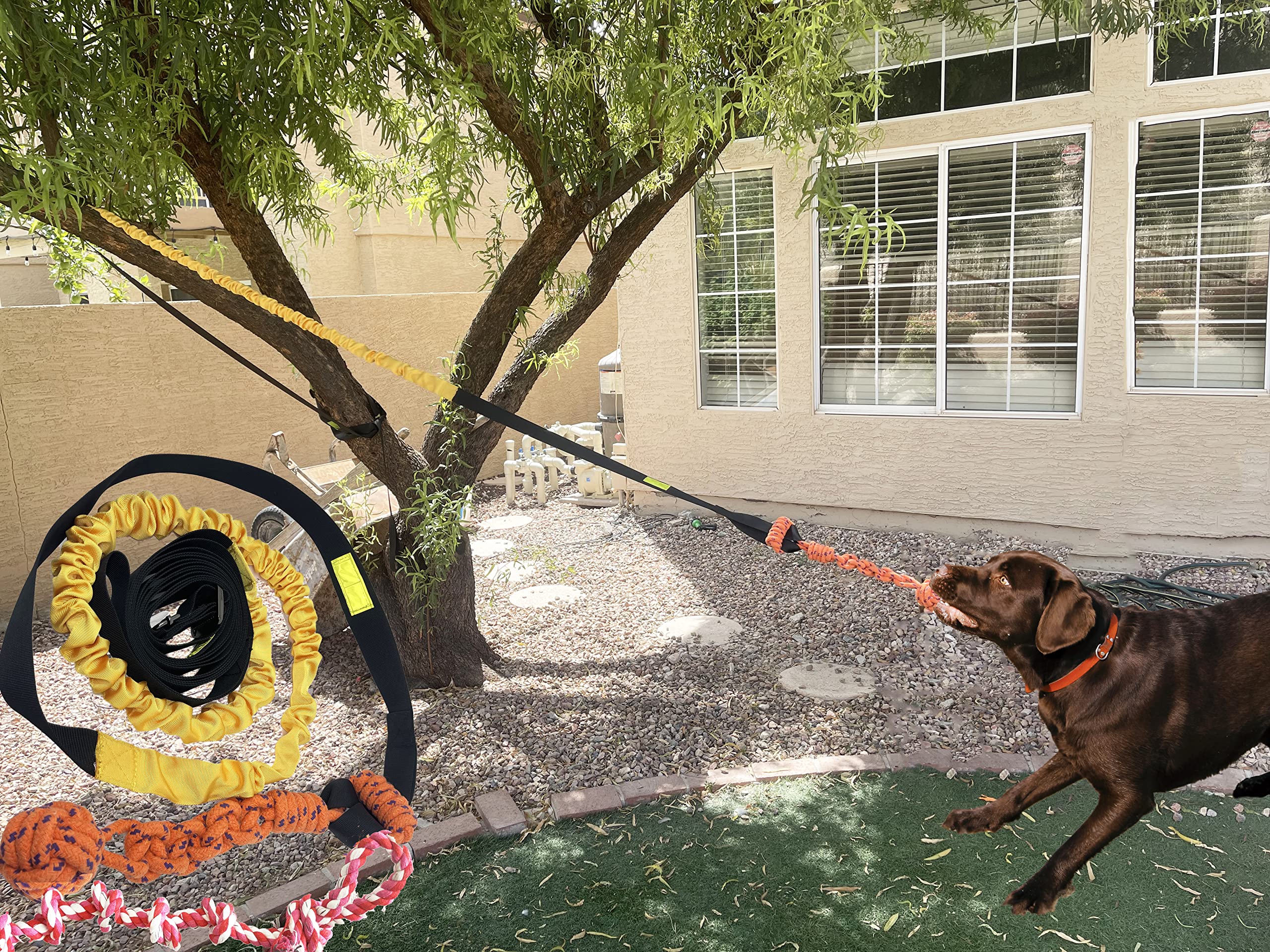 Jalousie Dog Bungee Toy nylon straps close-up shows durable, weatherproof construction for tough play.