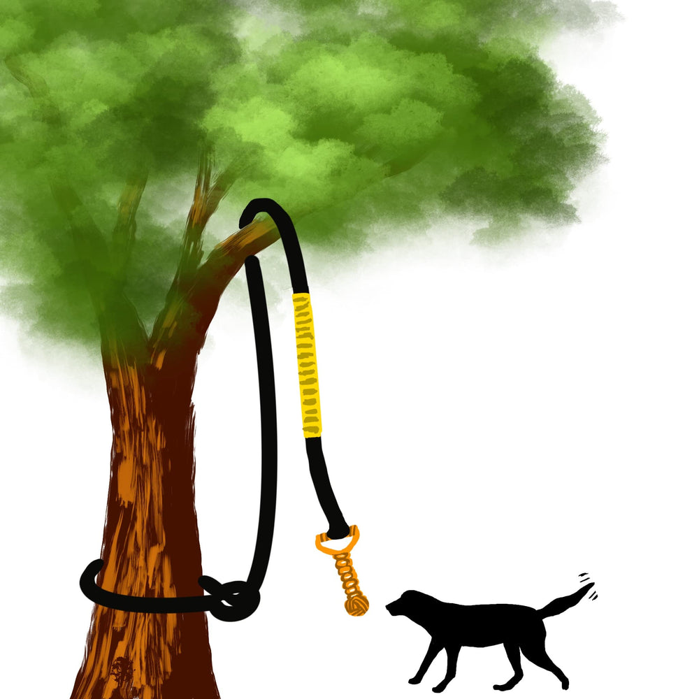 Jalousie Dog Bungee Toy in action during outdoor tug sessions.