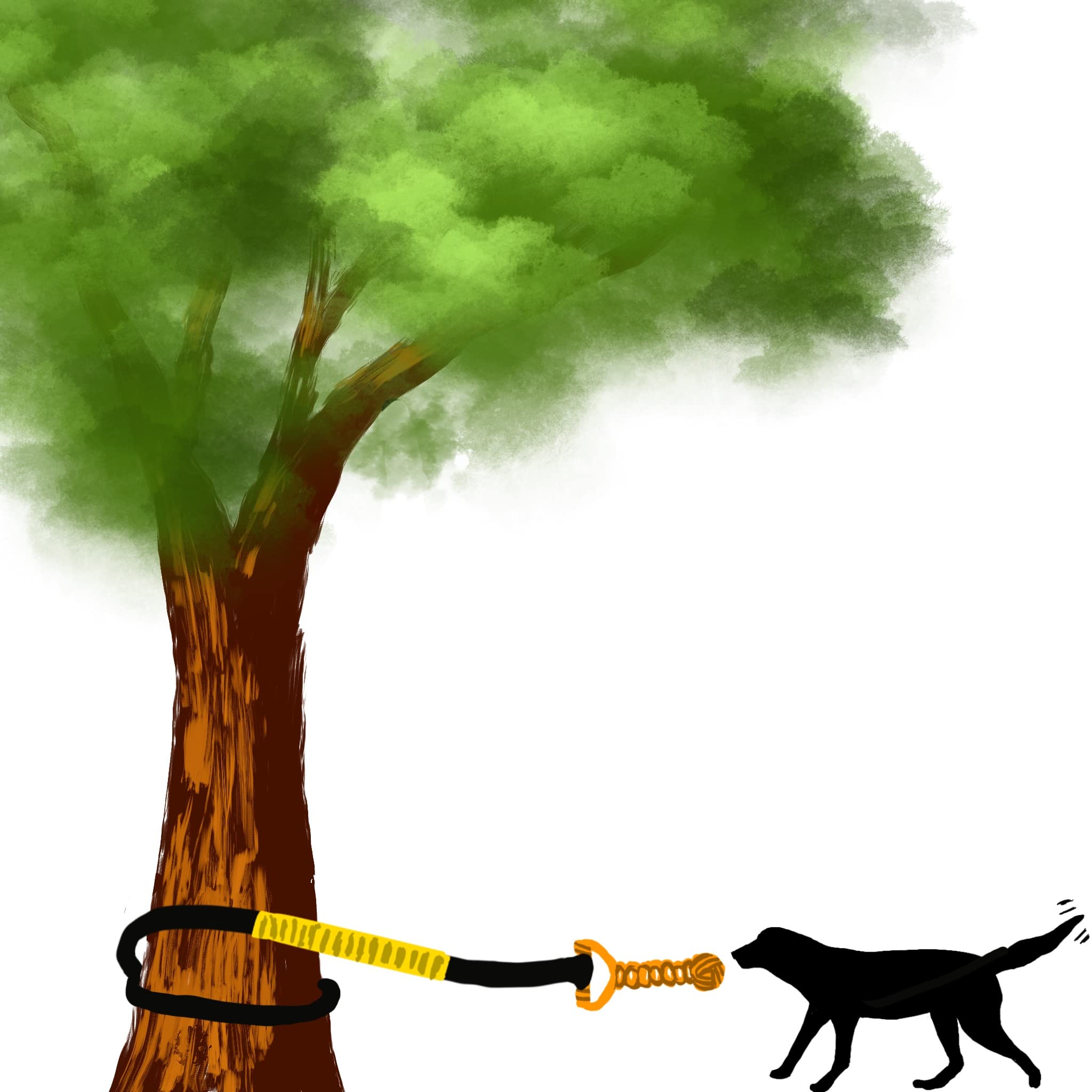 Jalousie Dog Bungee Toy safety guidance for supervised, controlled sessions.