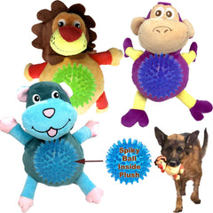 Jalousie dog squeaky toys pack cover showcases vibrant colors for engaging fetch play.