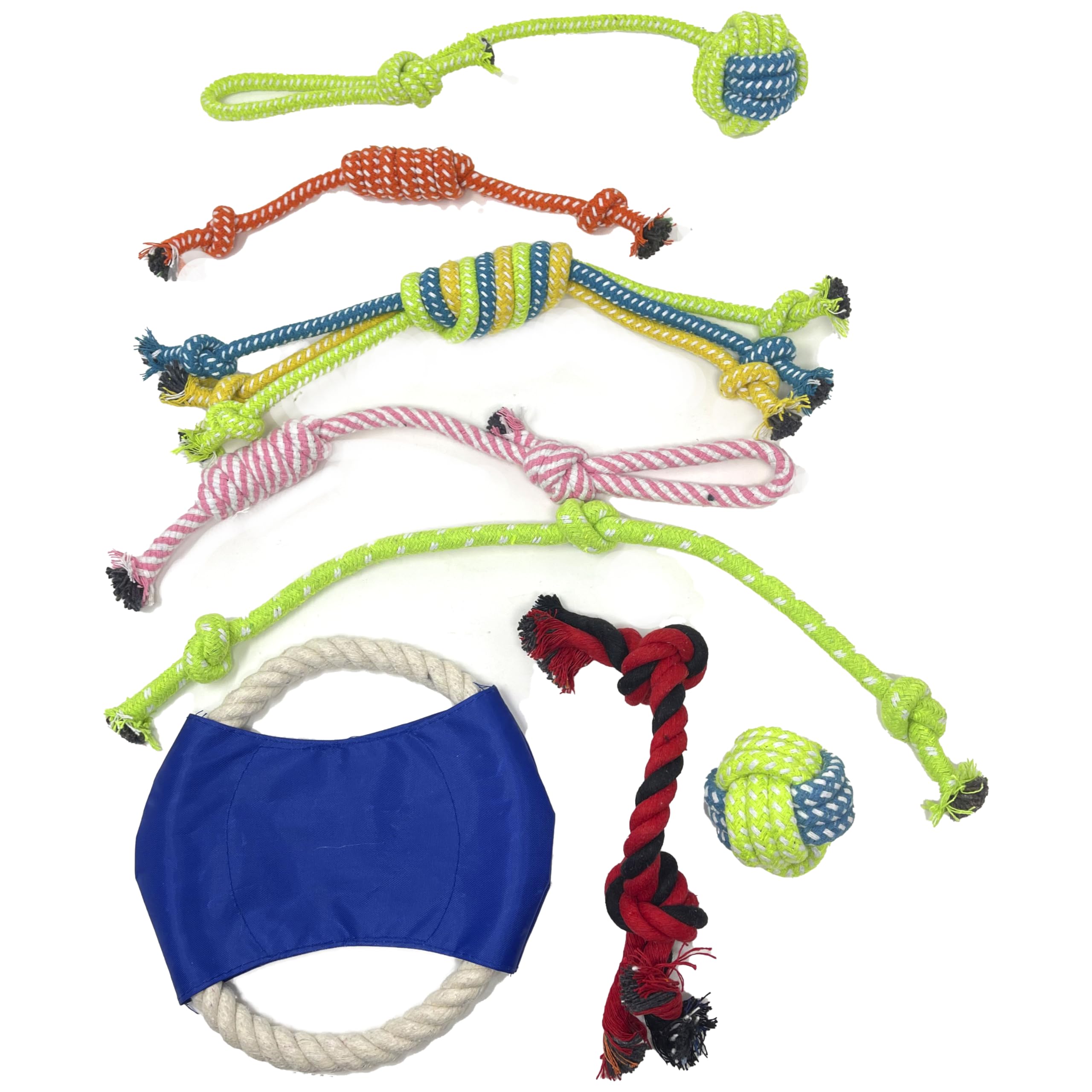 Jalousie dog squeaky toys playtime session featuring colorful plush