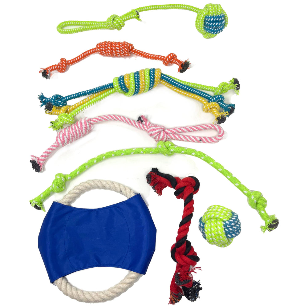 Jalousie dog squeaky toys playtime session featuring colorful plush