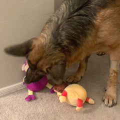 Jalousie dog squeaky toys plush 2-in-1 image shows soft feel and squeak.