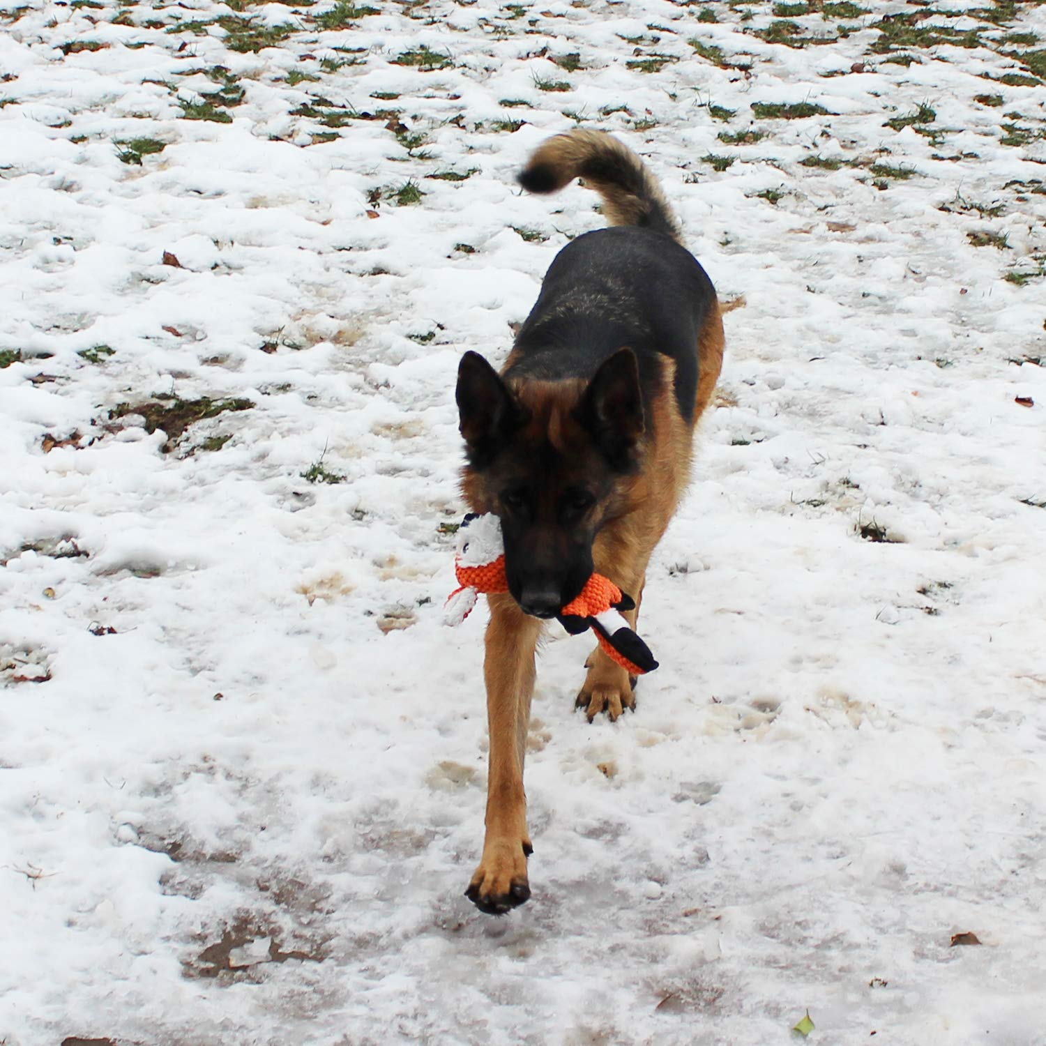 Jalousie dog toy added liner — added liner extends playtime and protects from wear.