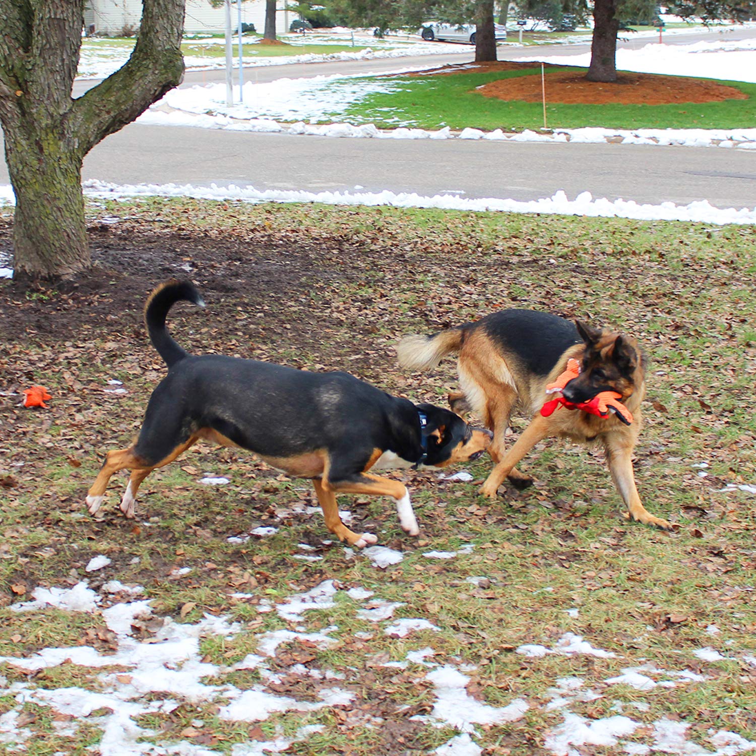 Jalousie dog toy bone squeaky — classic chew lure that helps relieve boredom.