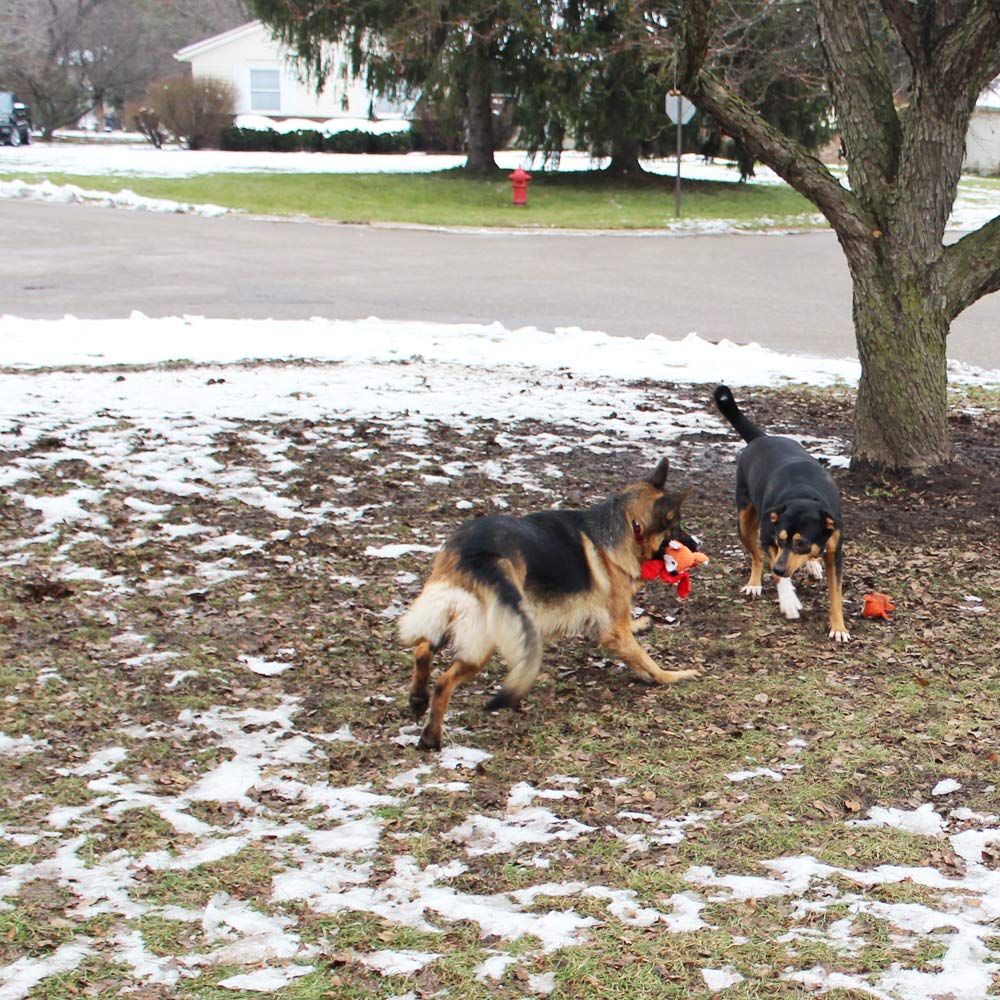 Jalousie dog toy reinforced seams — tougher seams support strong tugging and rough play.