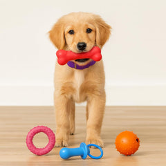 Jalousie flying disc toy for outdoor games