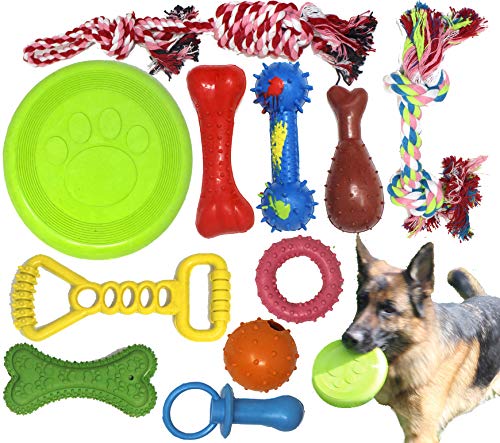 Jalousie natural rubber ball toy for interactive play and dental massage