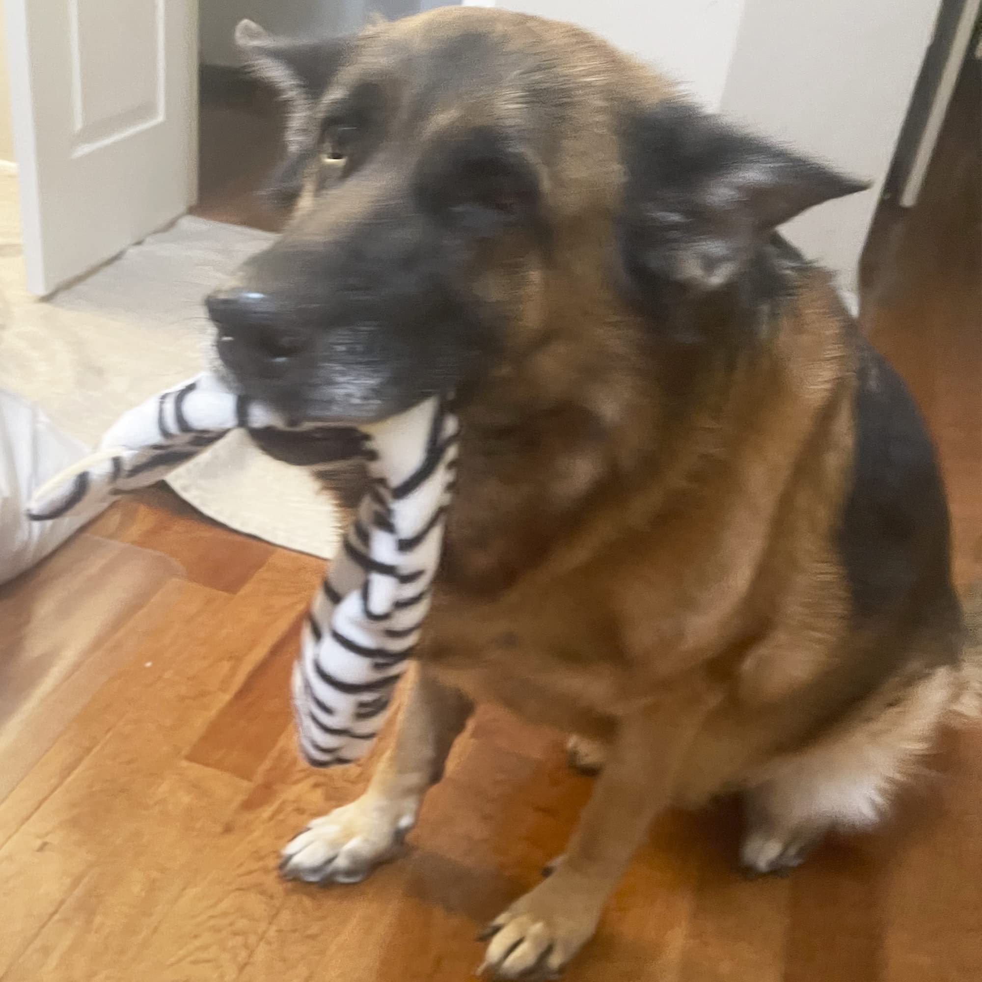 Jalousie otter squeaky toy offers multi-squeaker fun for medium to large dogs.