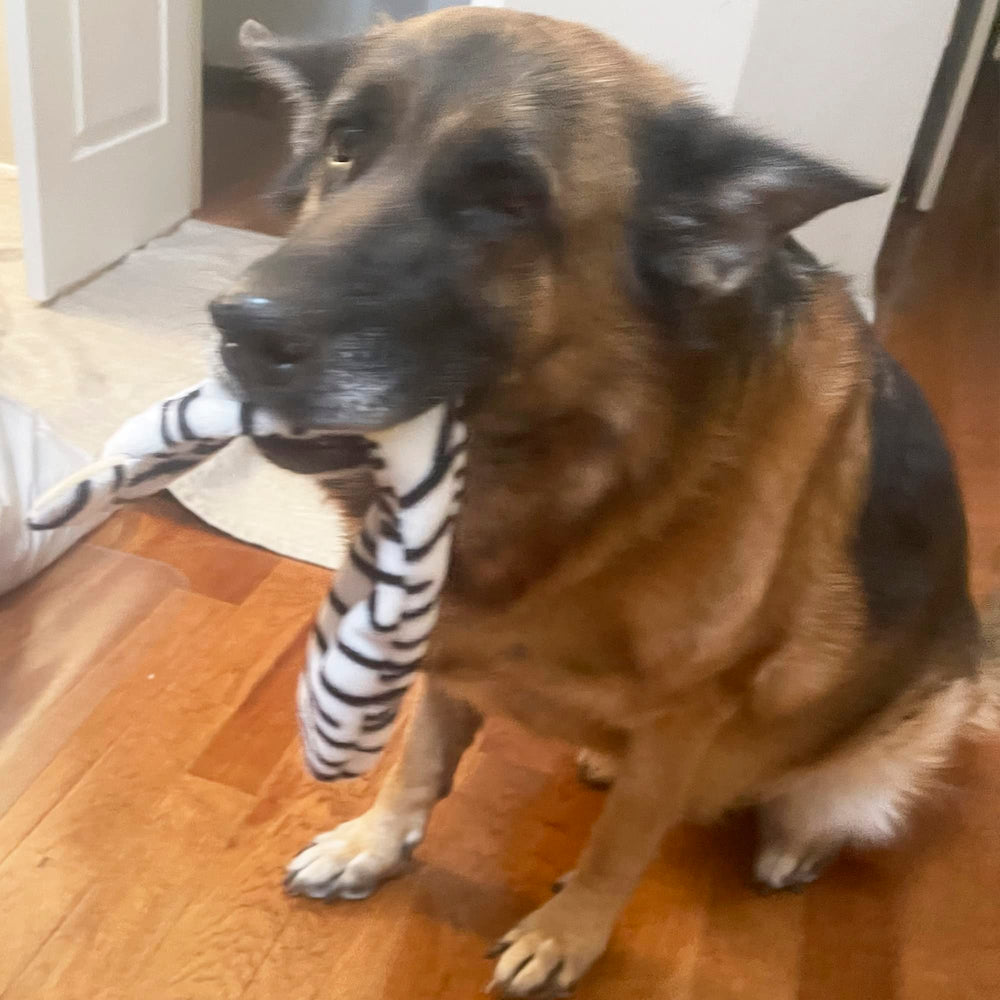 Jalousie otter squeaky toy offers multi-squeaker fun for medium to large dogs.