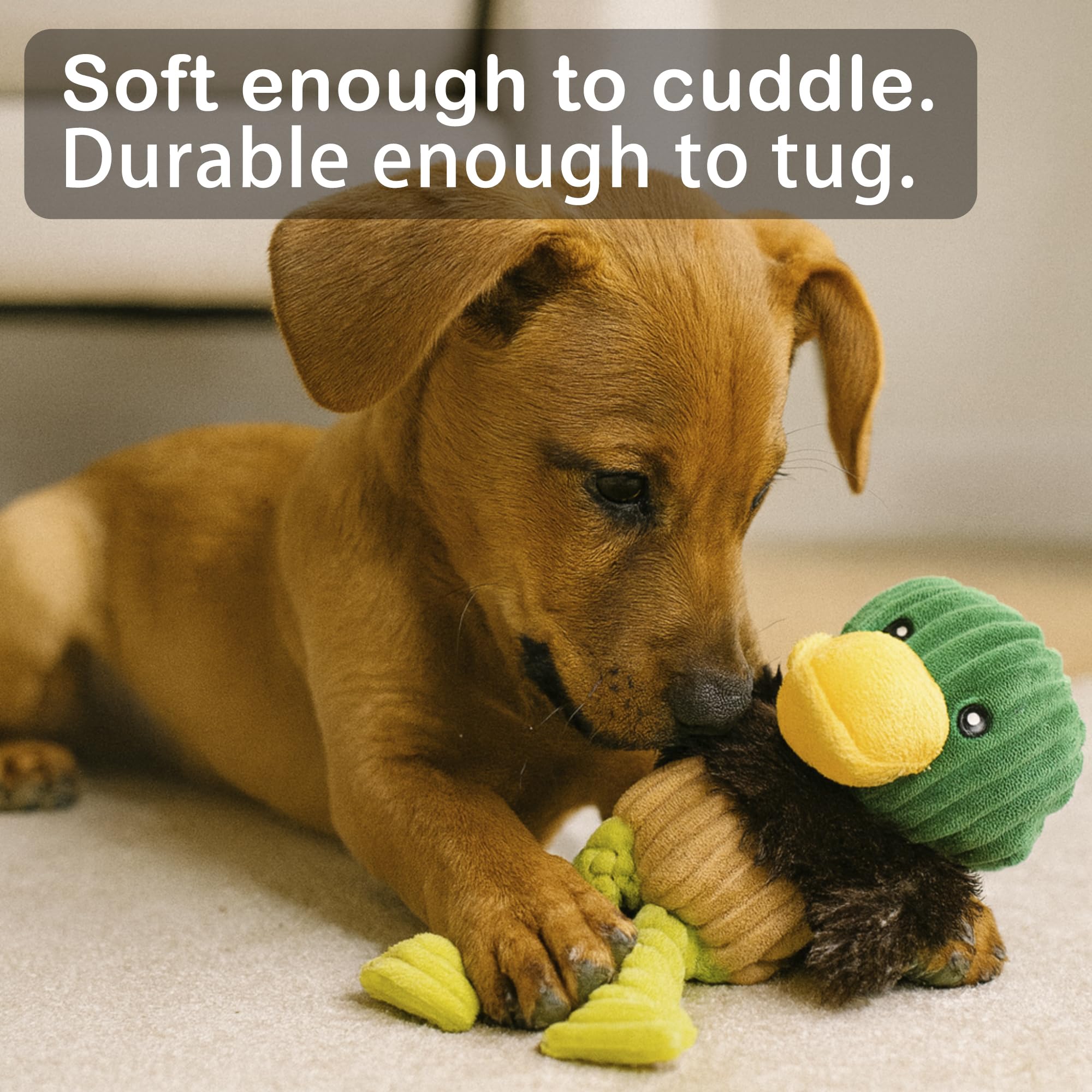 Jalousie plush toys come in vibrant colors to attract dogs to playtime.