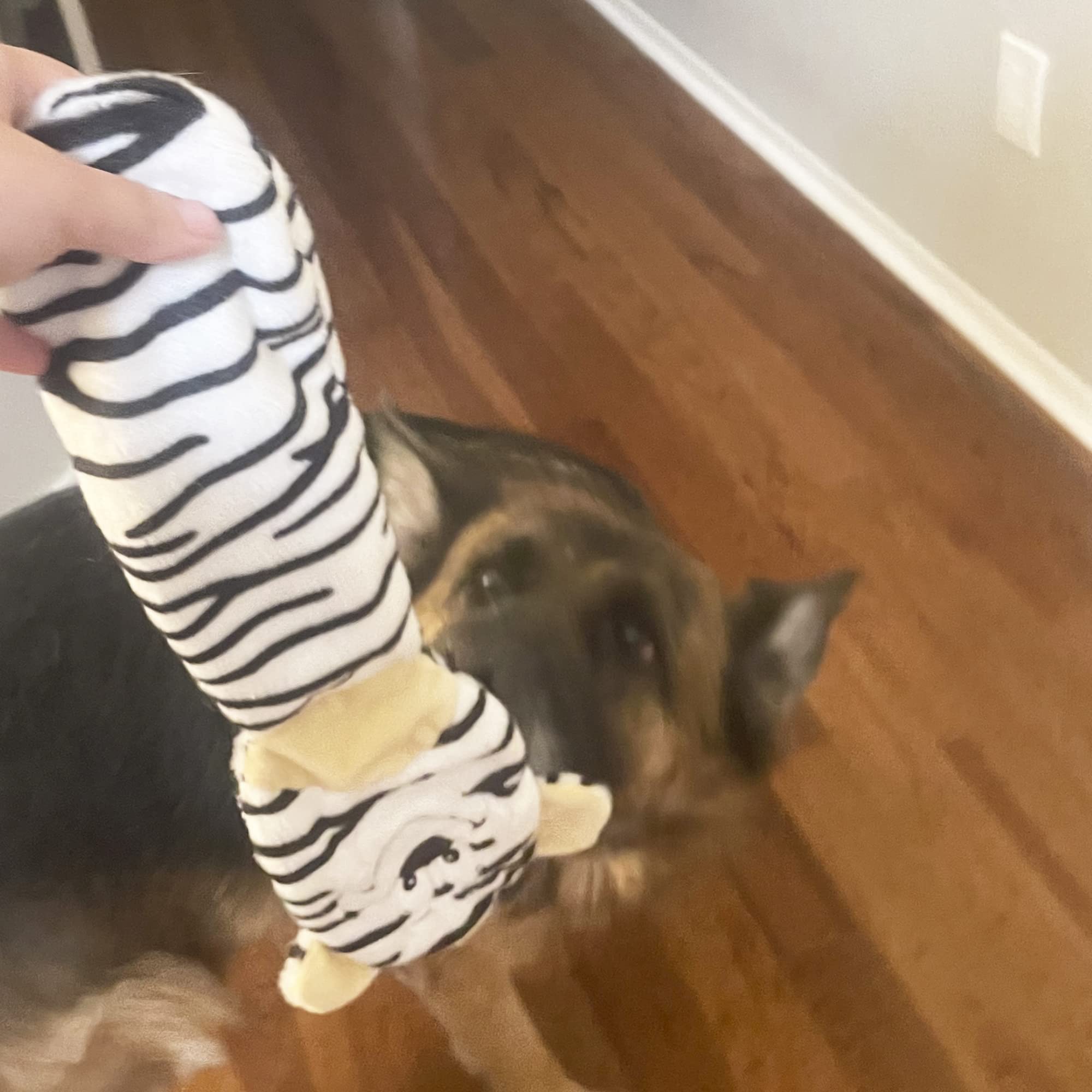 Jalousie squirrel squeaky toy designed for interactive fetch and light gnawing.