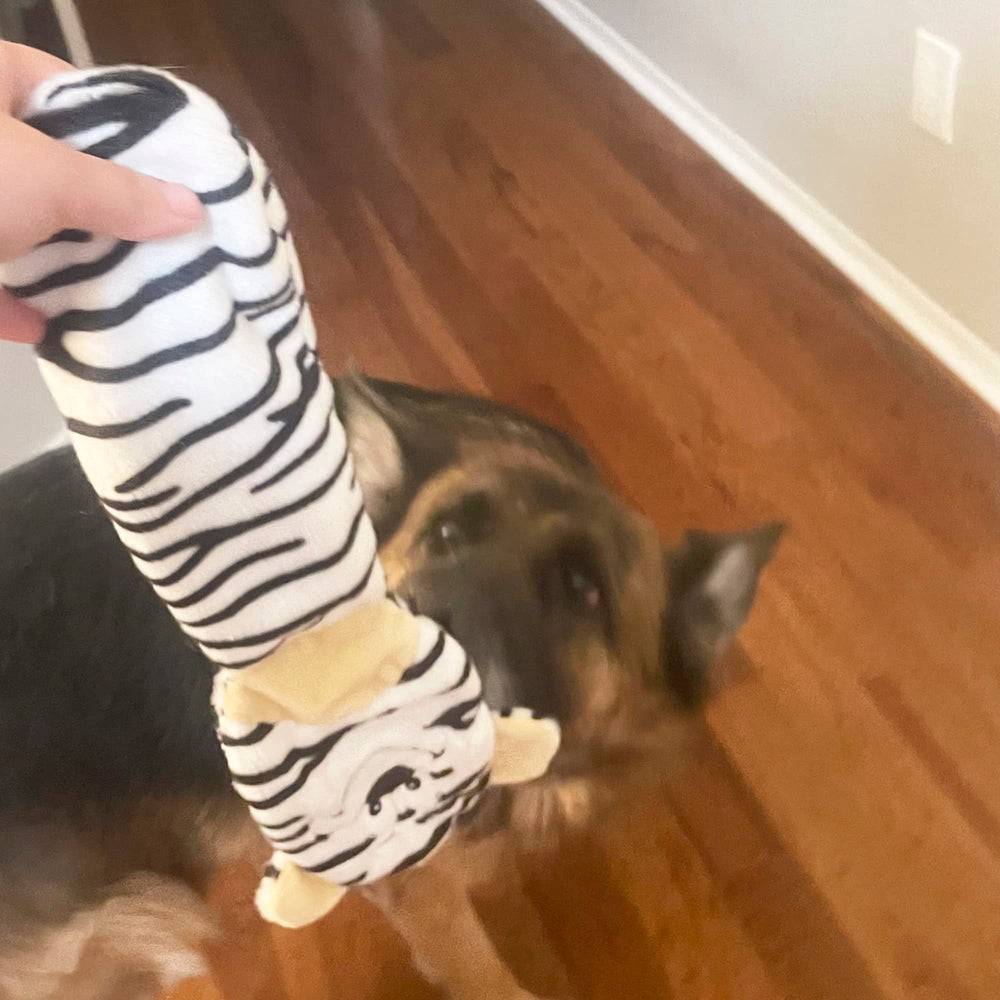 Jalousie squirrel squeaky toy designed for interactive fetch and light gnawing.