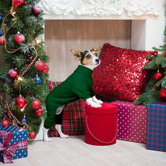 Jamktepat dog sweater green back view showcases durable stitch and snug fit.