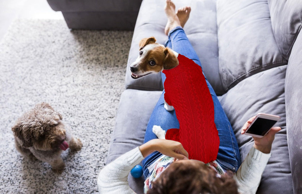 Jamktepat dog sweater size chart display helps choose the right fit