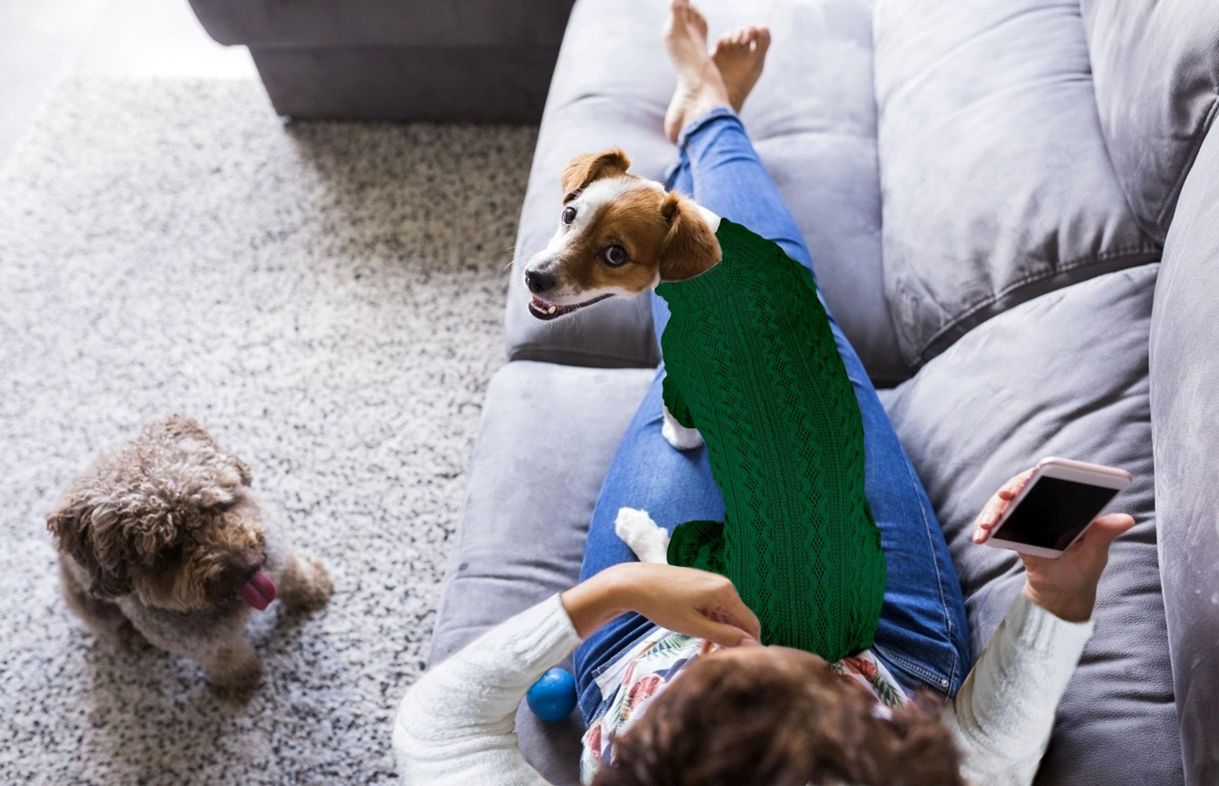 Jamktepat dog sweater turtleneck green street-style knit for chilly outings.