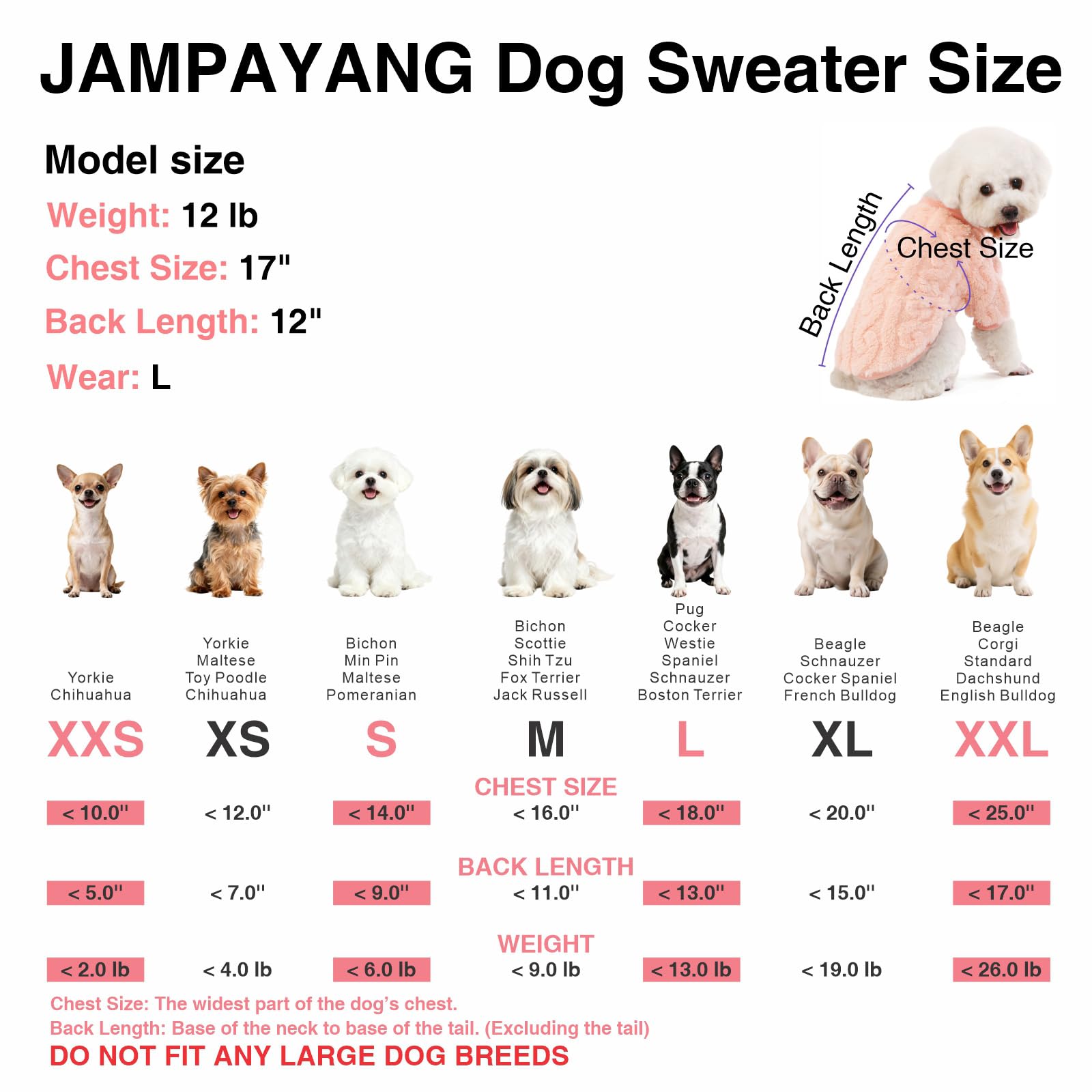 Uso diario en invierno con la sudadera JAMPAYANG.