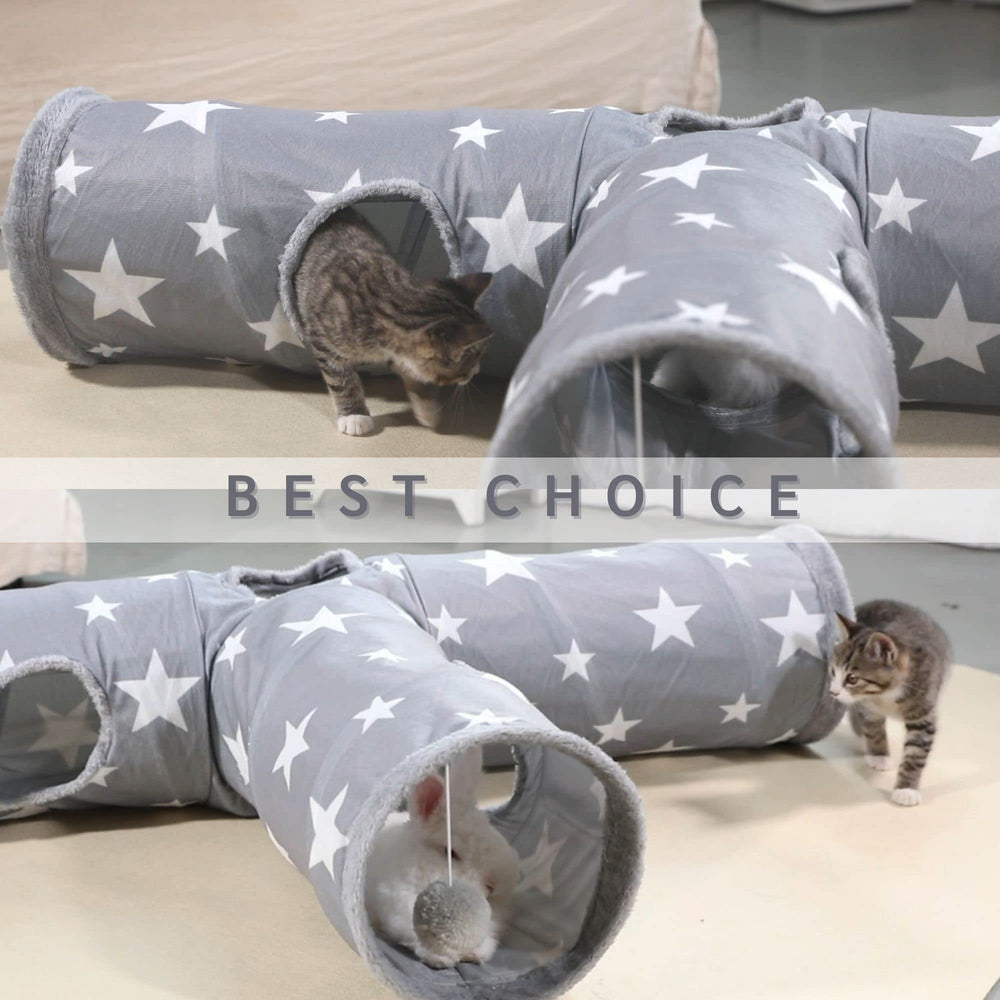 JanYoo Bunny Tunnel star multi pet play illustrates shared fun for two critters