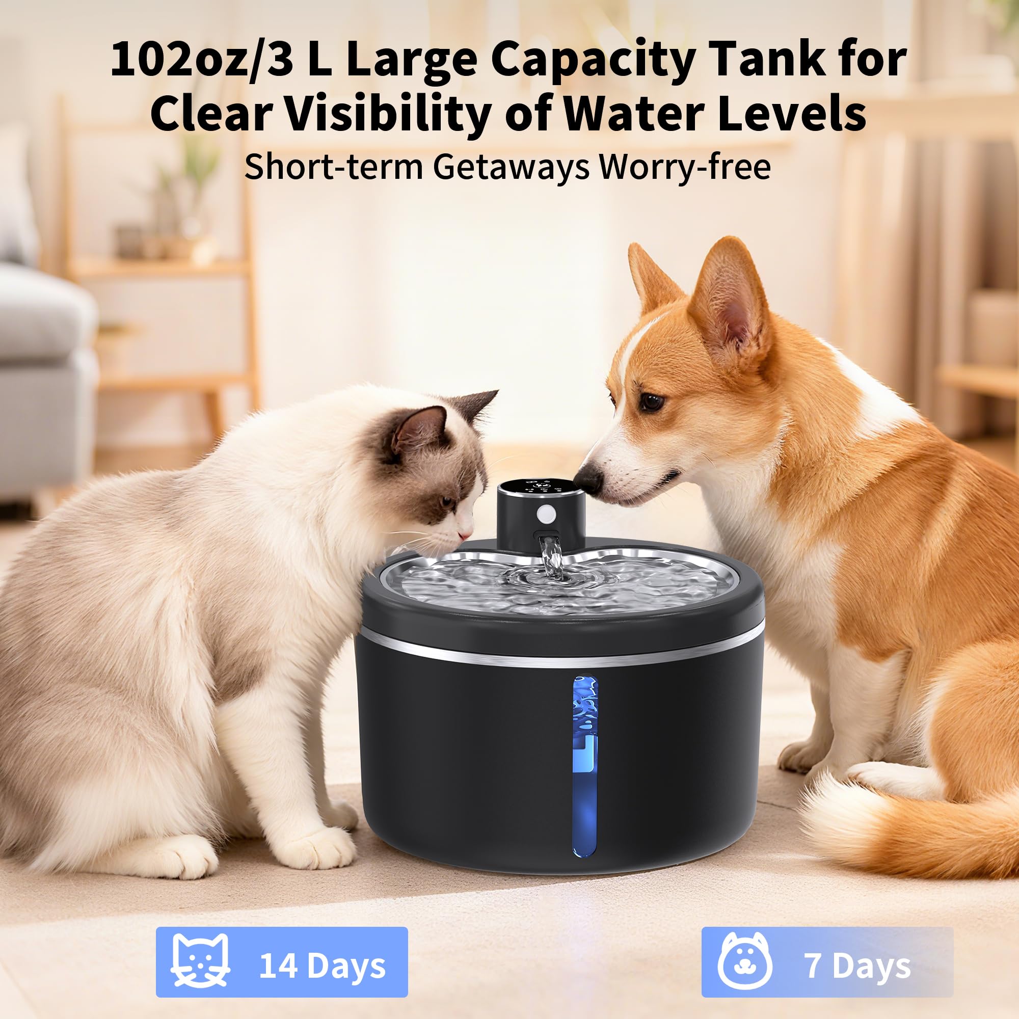 Jaojcoe cat fountain motion-sensor view demonstrates automatic hydration cue for curious cats.