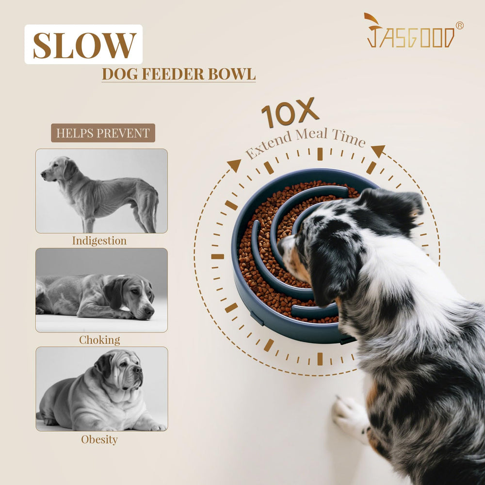 JASGOOD bowl supports dry, wet, or raw meals for flexible feeding.
