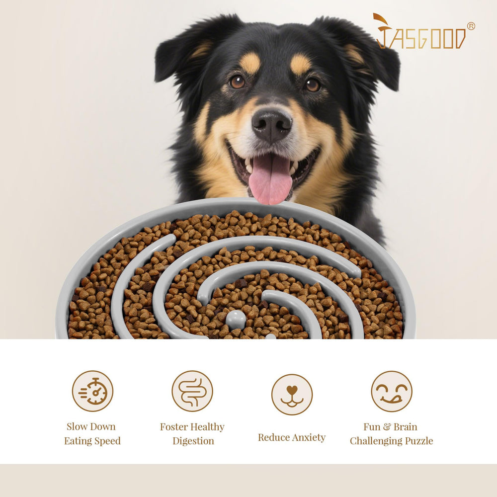 JASGOOD slow feeder bowl with 24.4 cm diameter for medium-to-large dogs.