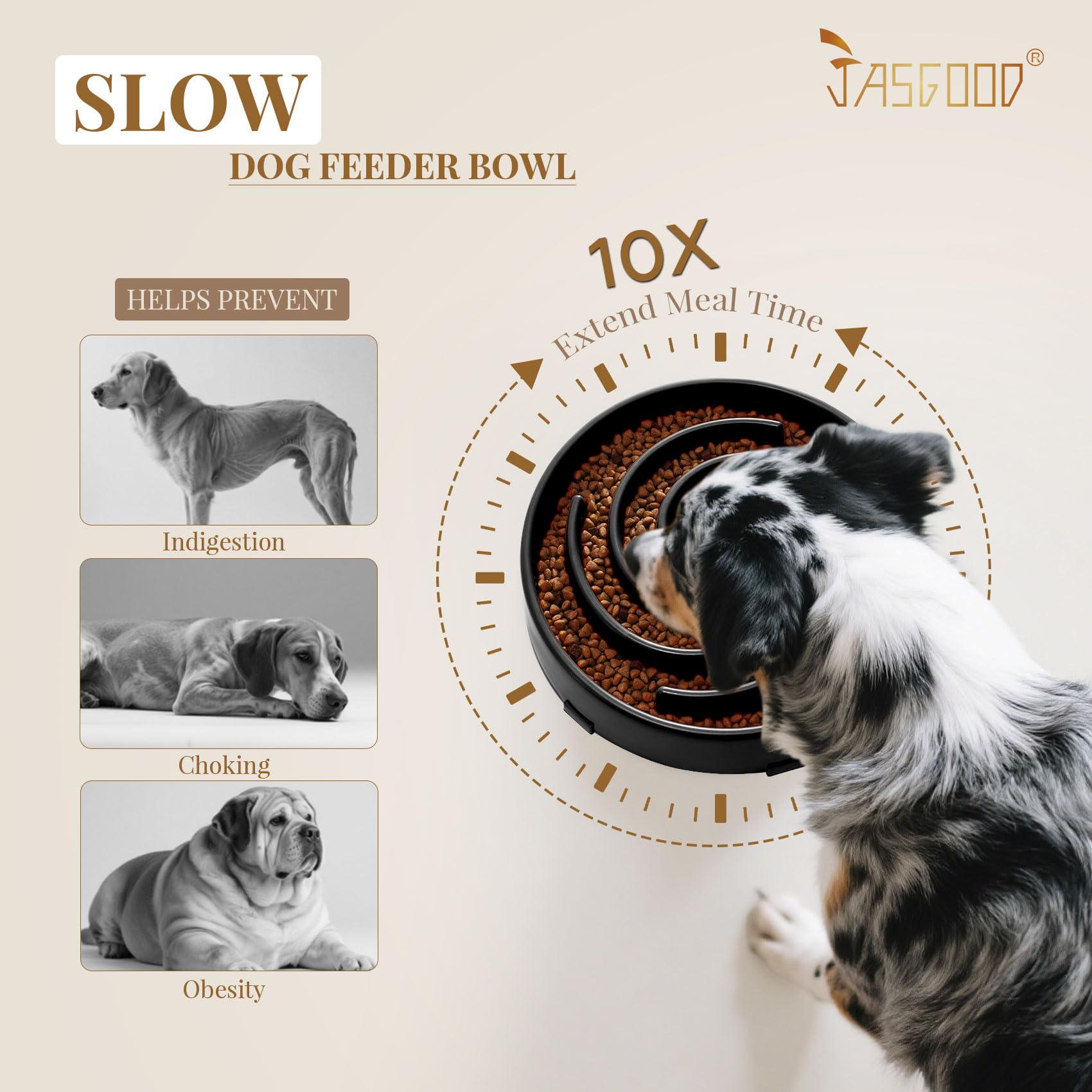 JASGOOD slow feeder supports dry, wet, or raw foods for versatile feeding.