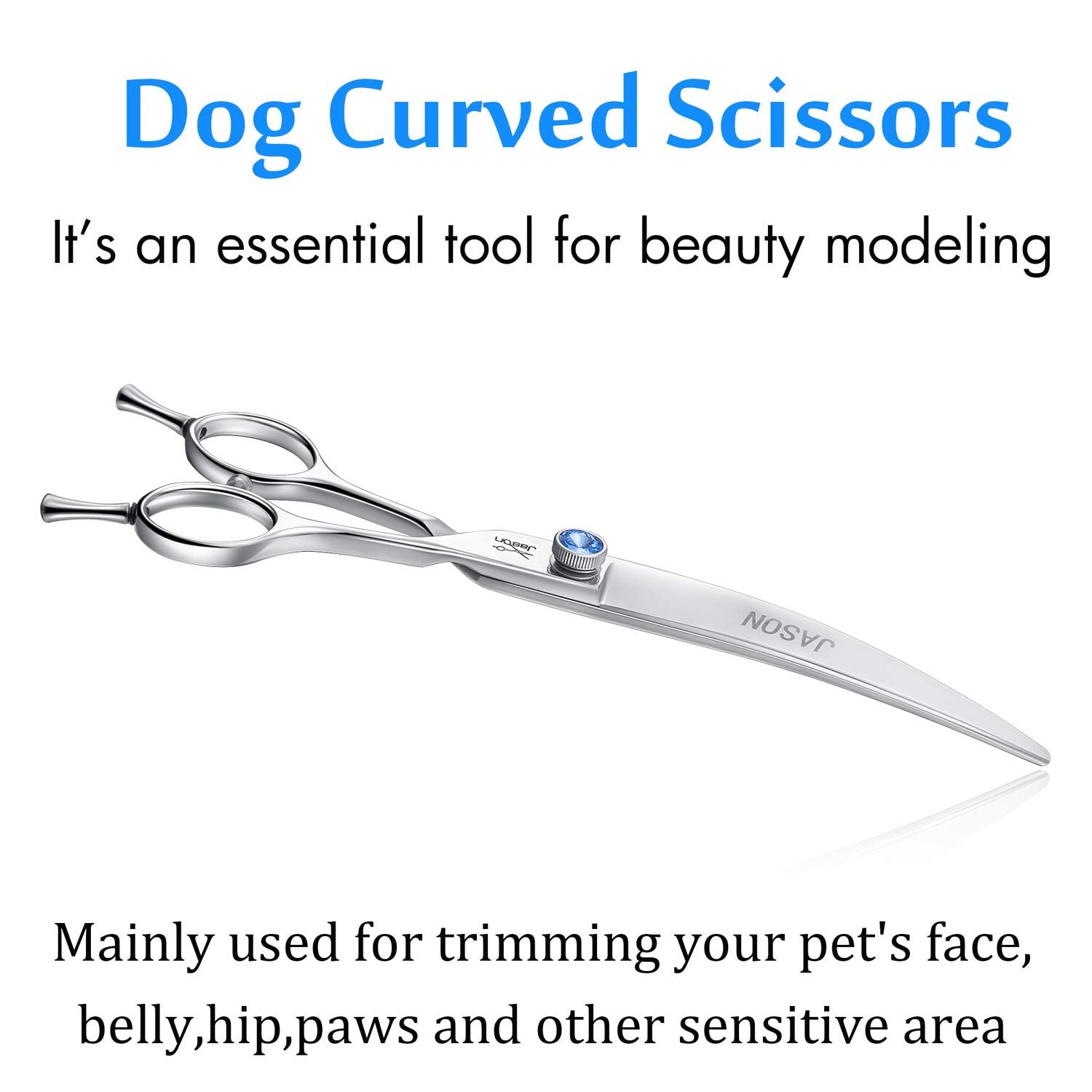 JASON dog head-rounding trim demonstrates versatile shaping for small to medium breeds.
