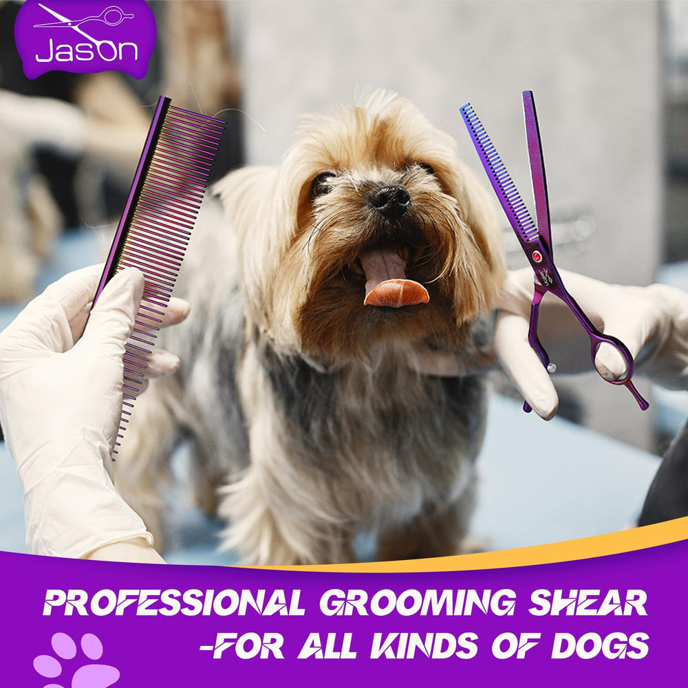 JASON professional dog grooming scissors for salon-grade results at home.