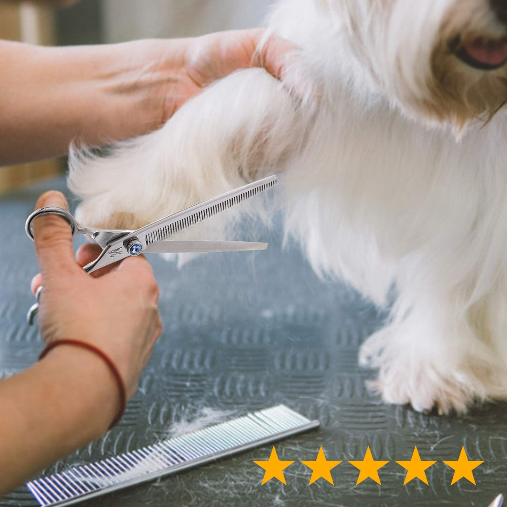 JASON in-use grooming scene shows versatile trimming on cats and dogs.