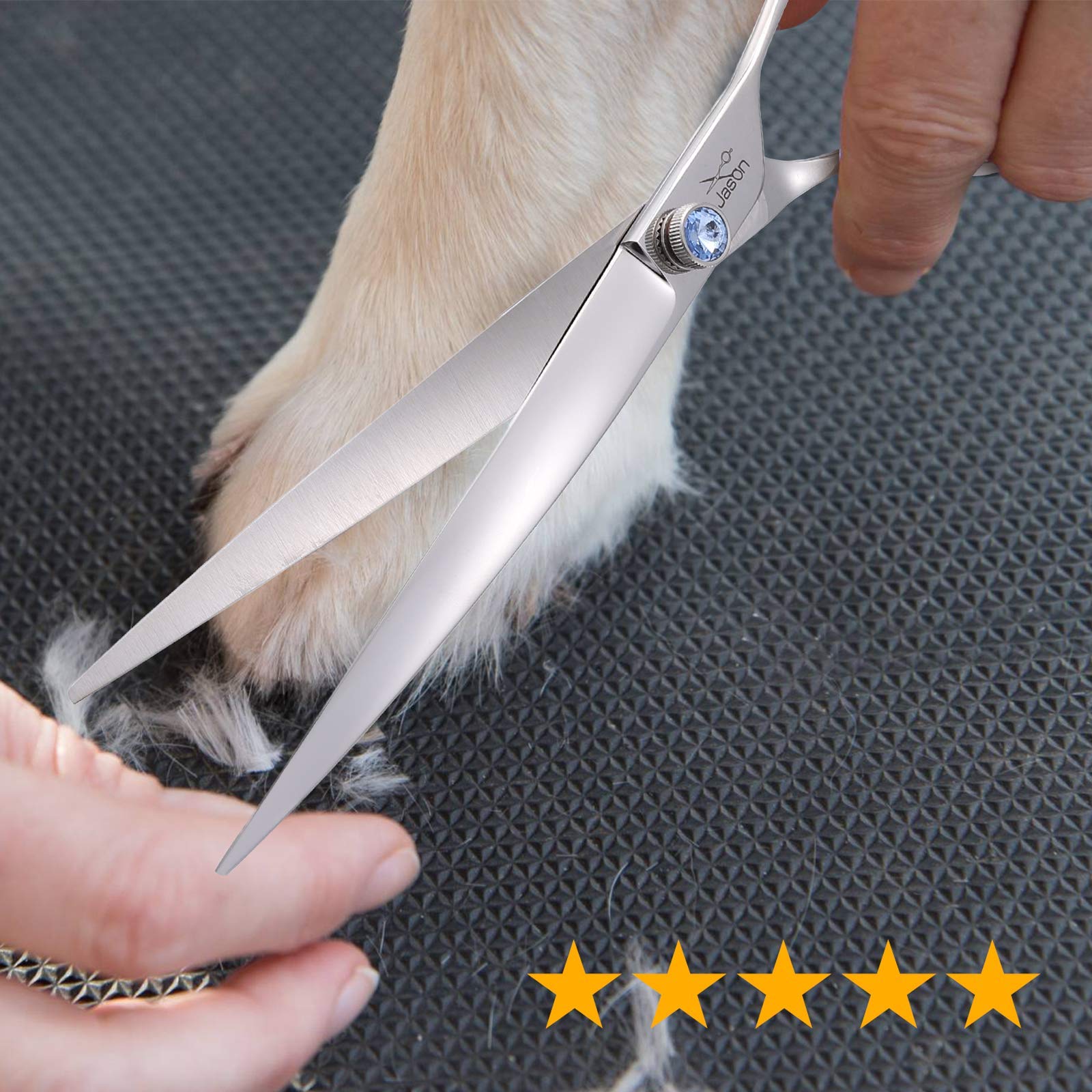 Jason portable professional grooming scissors ideal for on the go dog and cat care