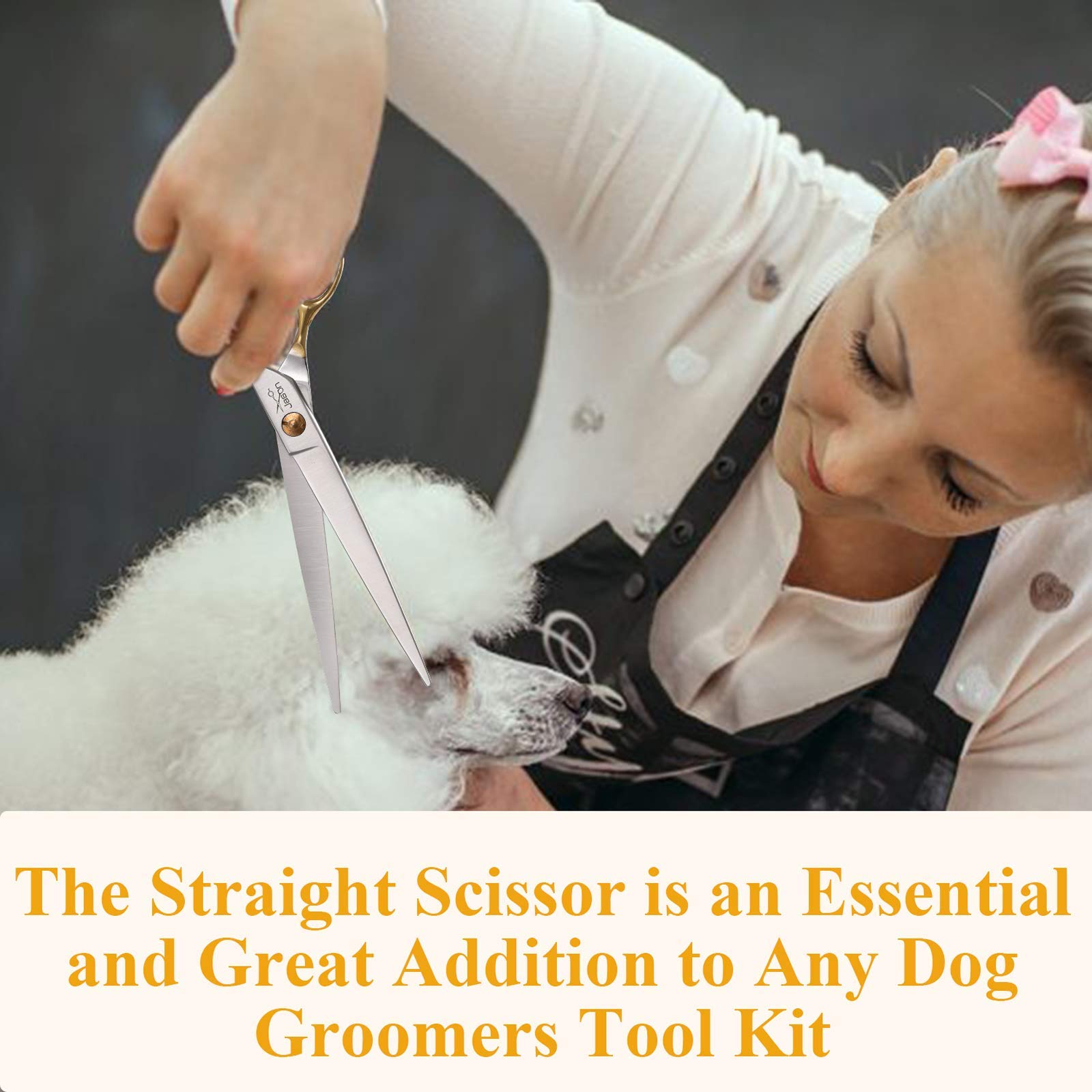 JASON professional pet scissors in action for efficient shaping and finishing