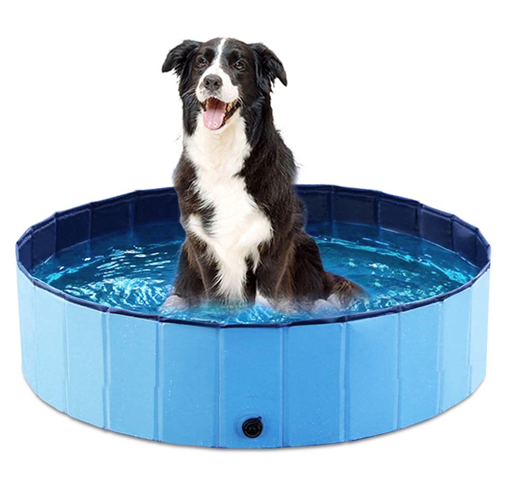 Jasonwell foldable dog pool 32-inch blue assembled for bath time.