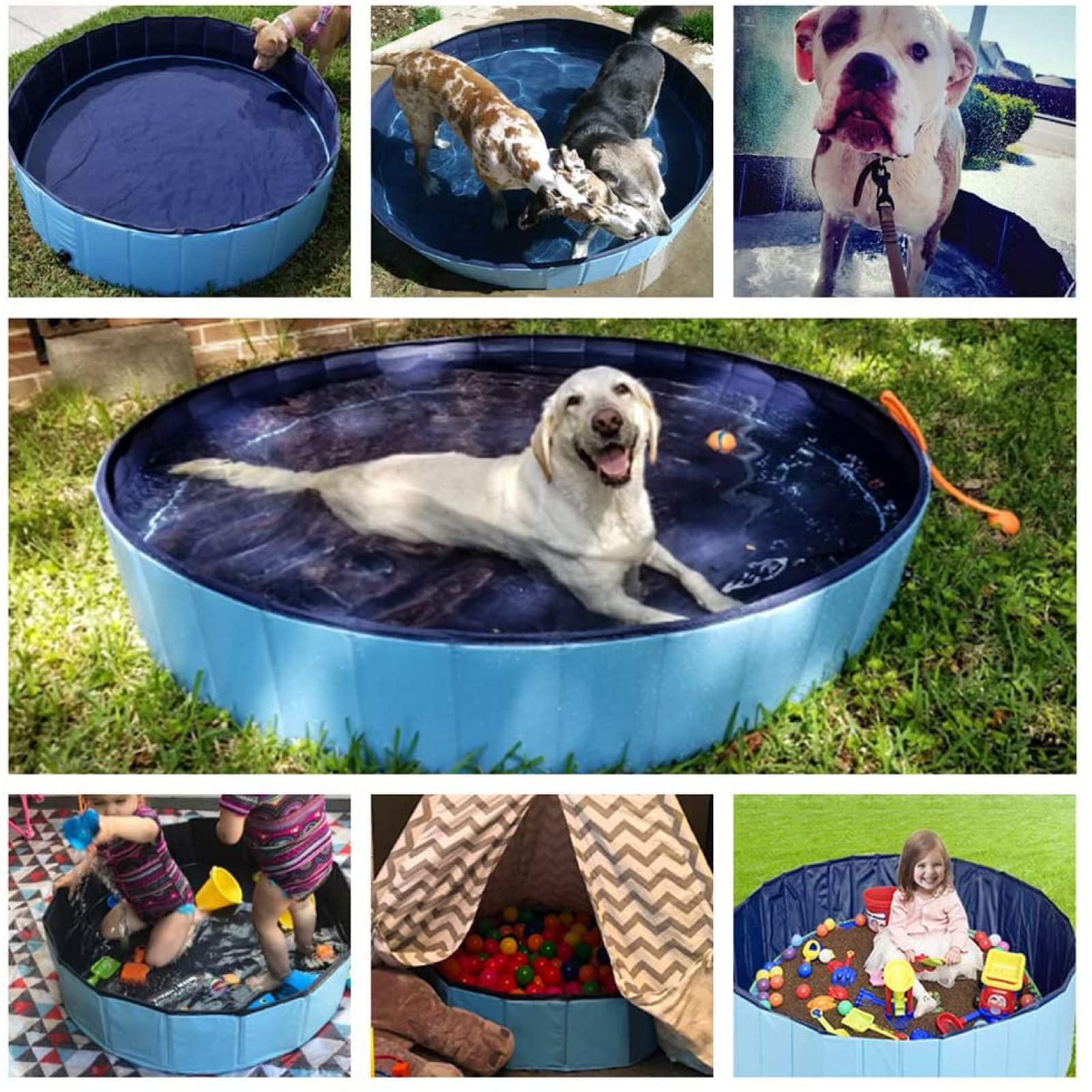 Jasonwell foldable dog pool in backyard with family-friendly setup.