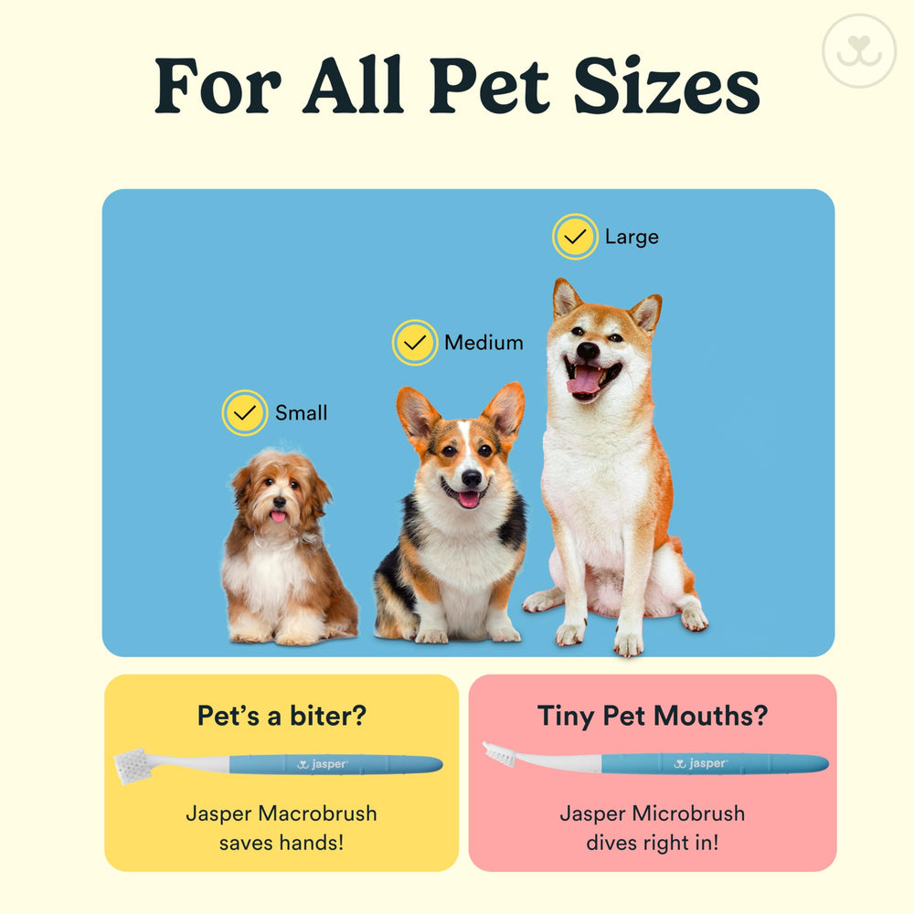 Jasper cat and dog toothbrush works for both tiny and large breeds.