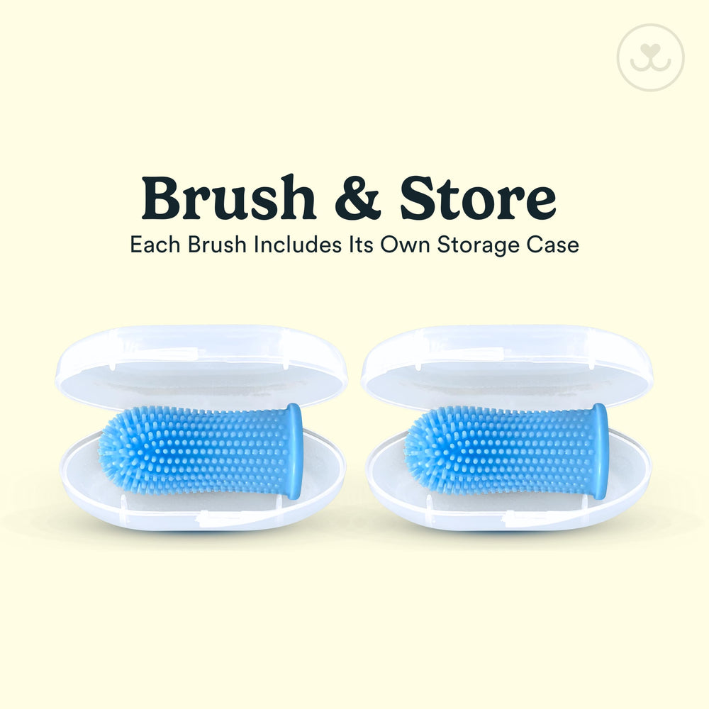 Jasper dishwasher-safe parts for easy sterilization and maintenance