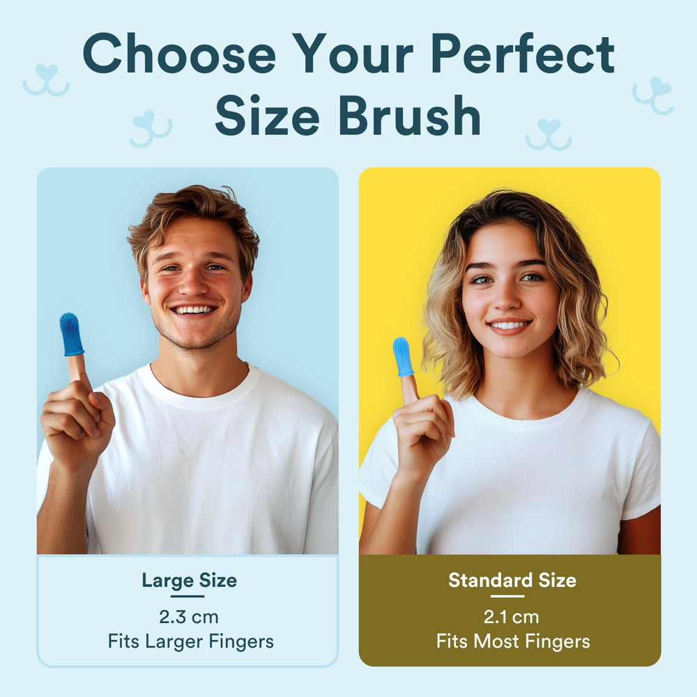 Jasper dog cat tolerance view shows pets accepting brushing during routine