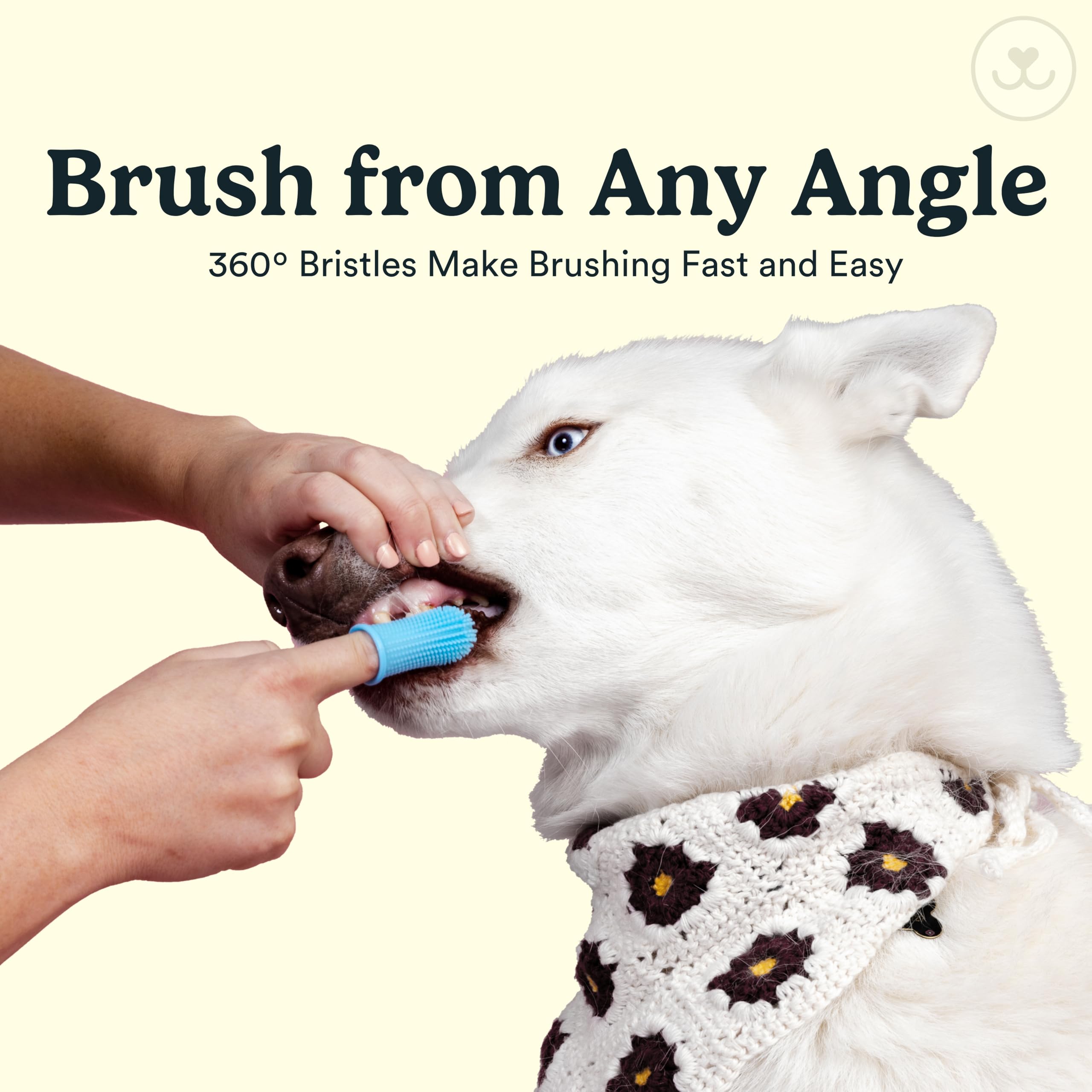 Jasper dog toothbrush reaches back molars for thorough daily dental care.