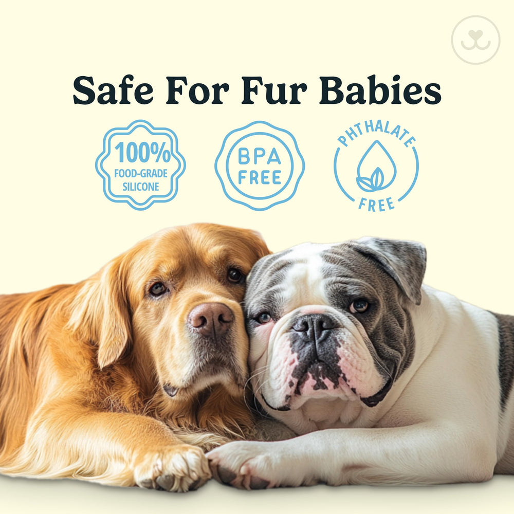 Jasper dog toothbrush kit makes brushing calmer and easier for many dogs.