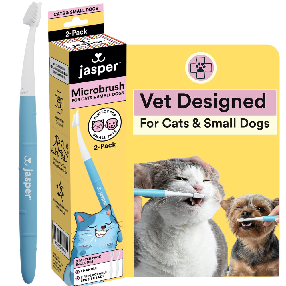 Jasper Microbrush para gato con cabezal delgado facilita cepillado dental.