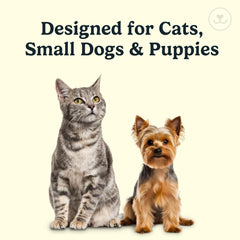 Jasper Microbrush con lip lifter para gatos.