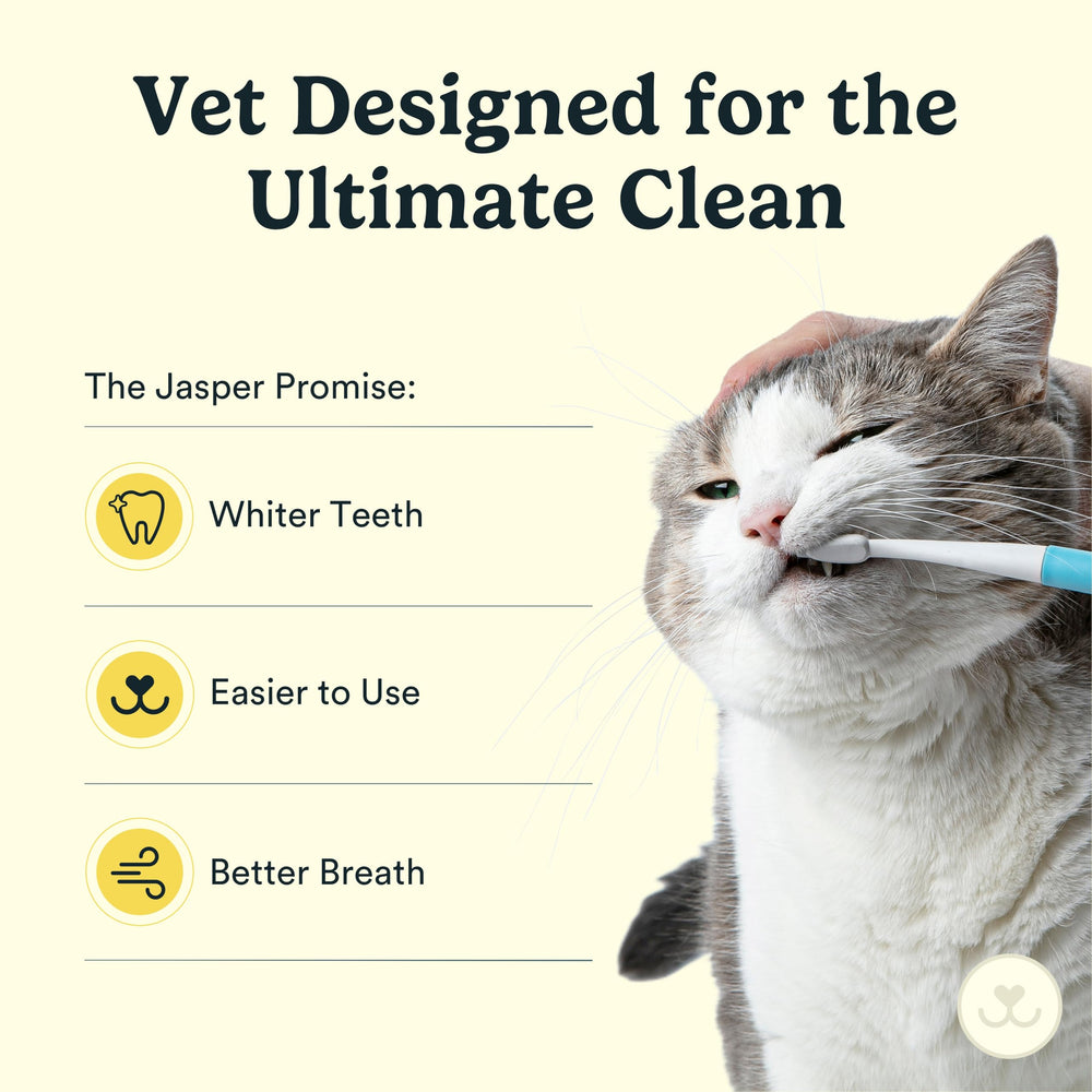 Jasper Microbrush mango ergonómico para cepillado seguro.