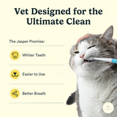 Jasper Microbrush mango ergonómico para cepillado seguro.