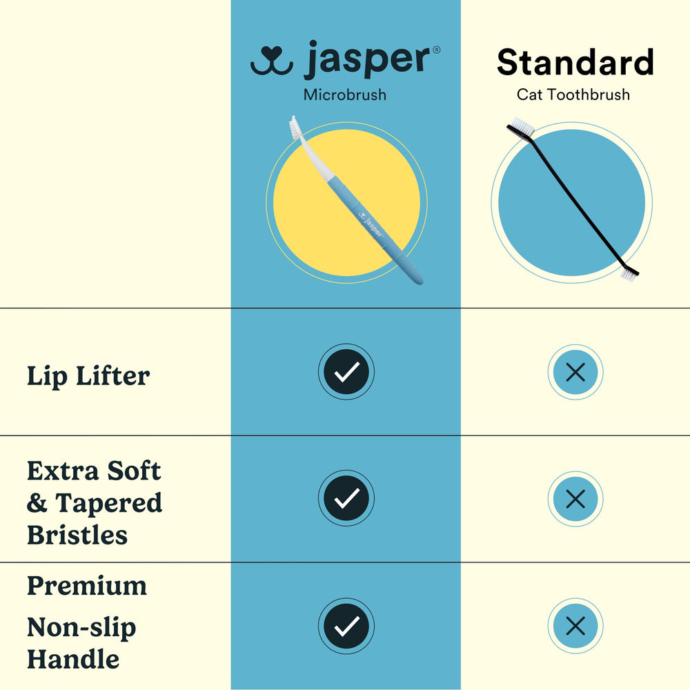 Jasper Microbrush uso con pasta dental para gatos.