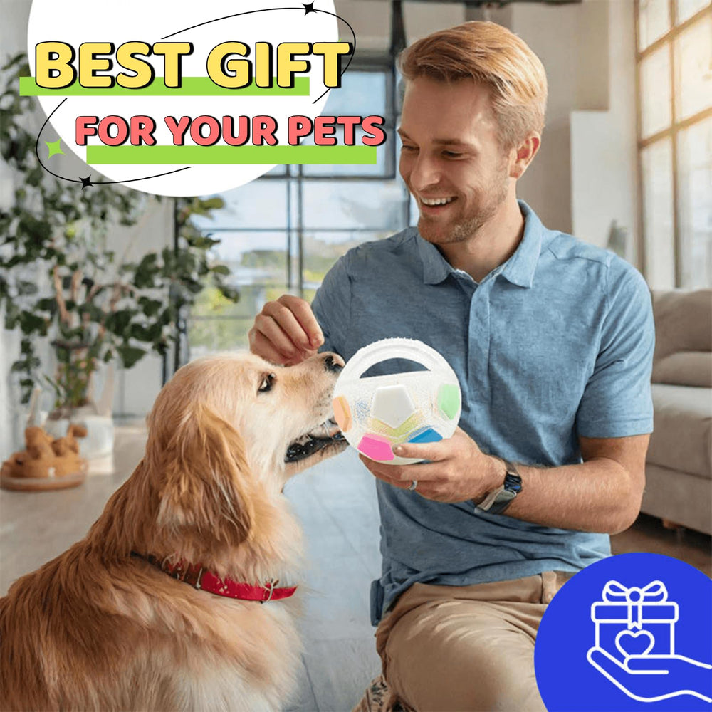 Jatmira ball-toy-measures-protects-furniture illustrates furniture protection during energetic play.
