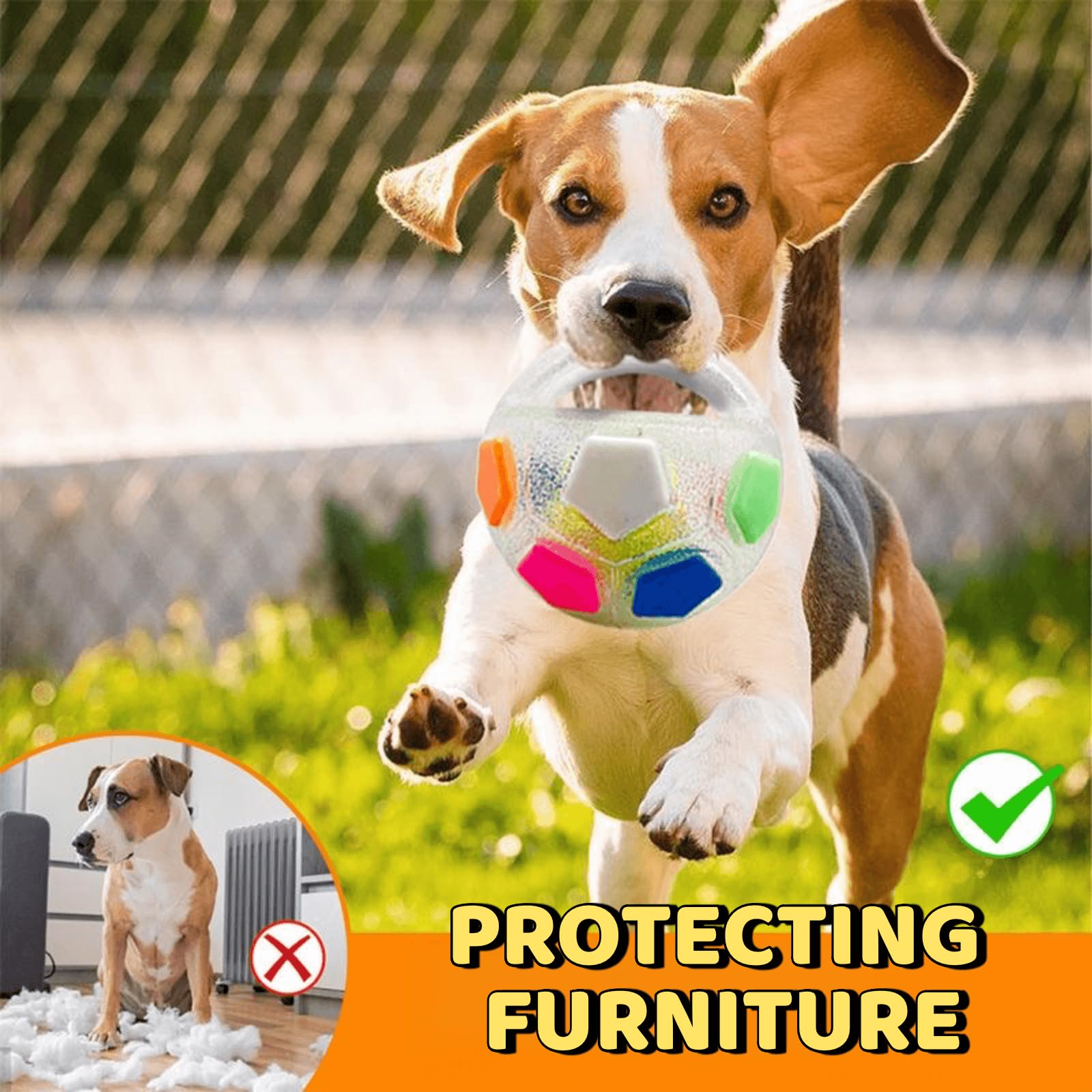 Jatmira ball-toy-puppy-dental-benefits highlights gum-soothing chew sessions for dental care.