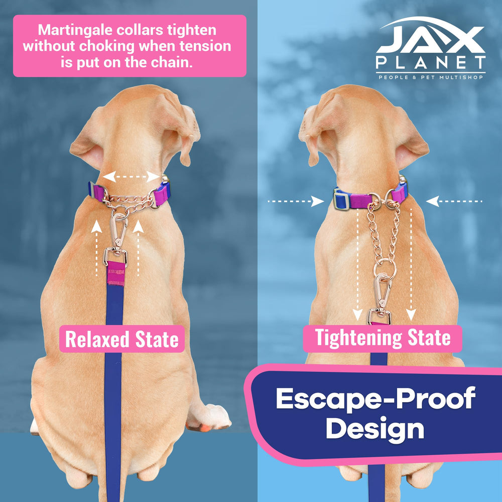 JAX PLANET adjustable collar strap ensures secure fit for active dogs
