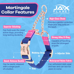 JAX PLANET alloy D-ring buckle close-up showing durable hardware