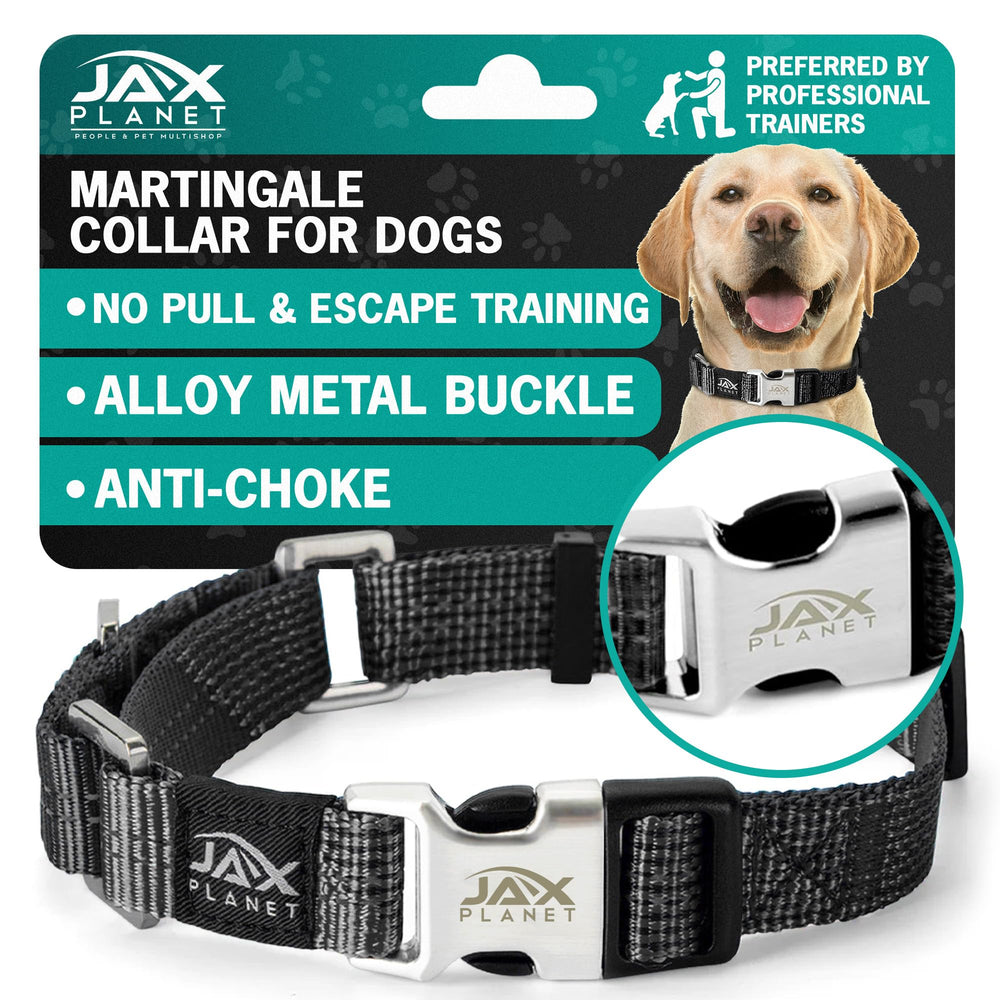 JAX PLANET black martingale collar closeup showing secure fit for calm walks.